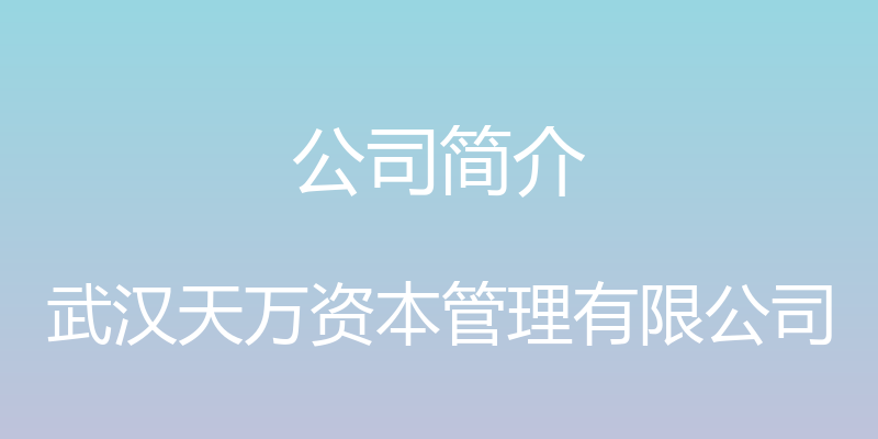 公司简介 - 武汉天万资本管理有限公司